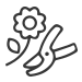 Flower Care Icon